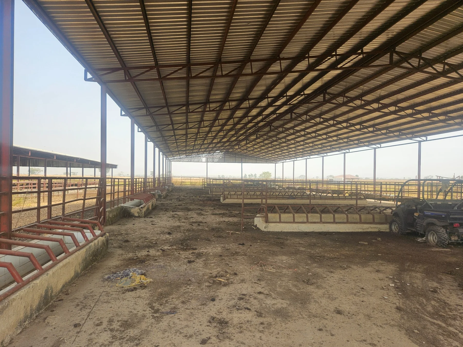 Open-sided cattle housing observed during a promoter benchmarking visit to a ranch in Nigeria