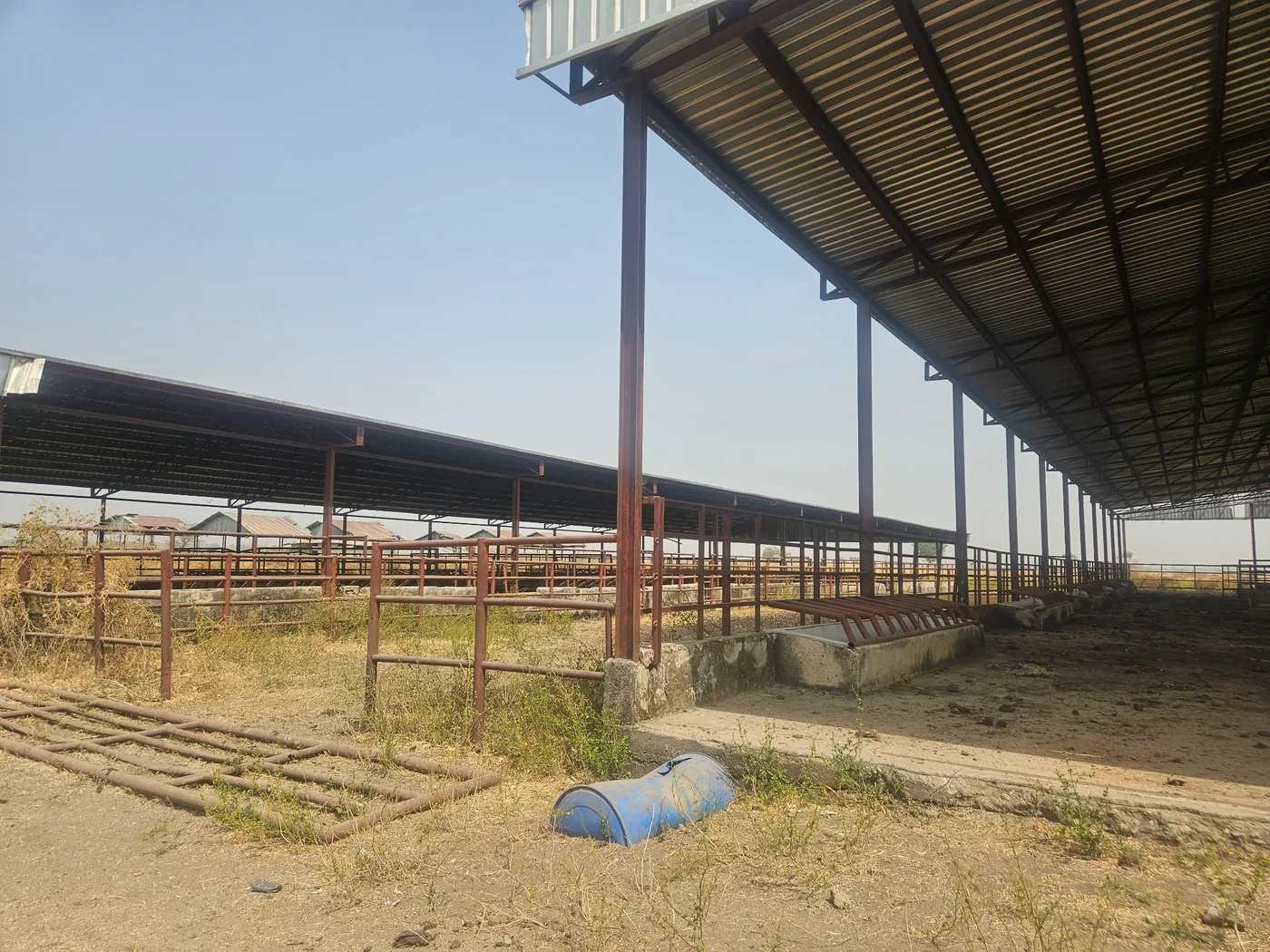 Open-sided cattle sheds and pens observed during a promoter benchmarking visit